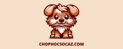 chophocsocaz.com